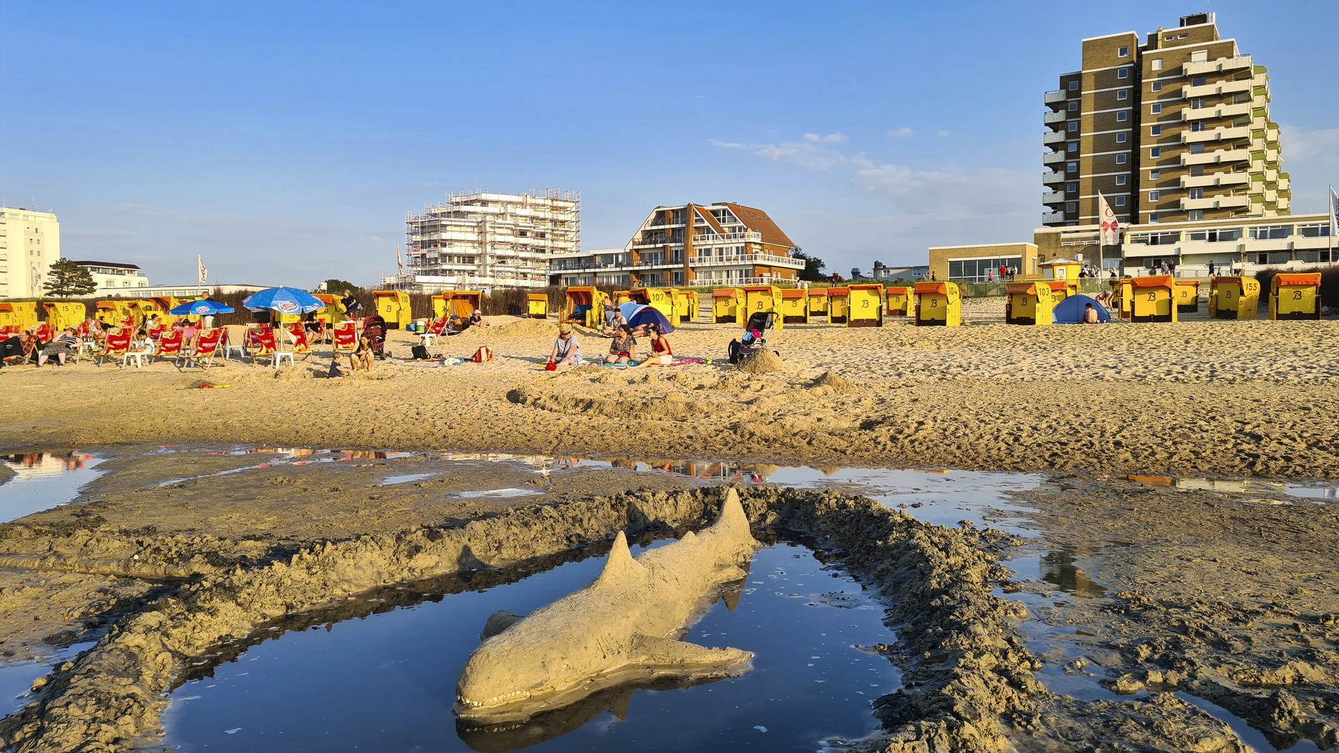 Haialarm im Wattenmeer