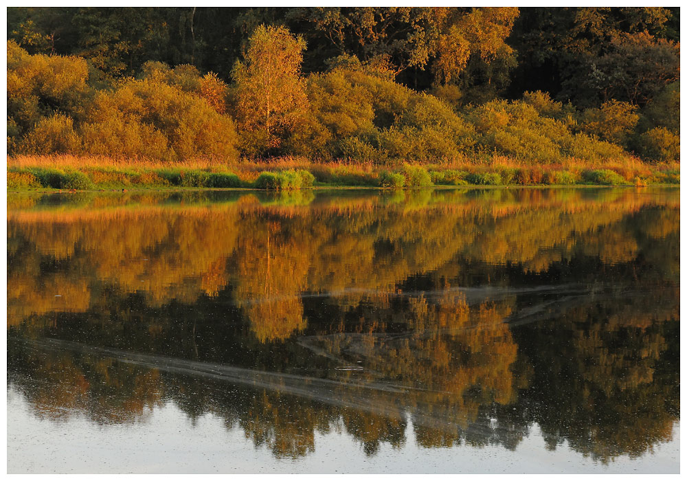 Haidenweier (Westerwälder Seenplatte)