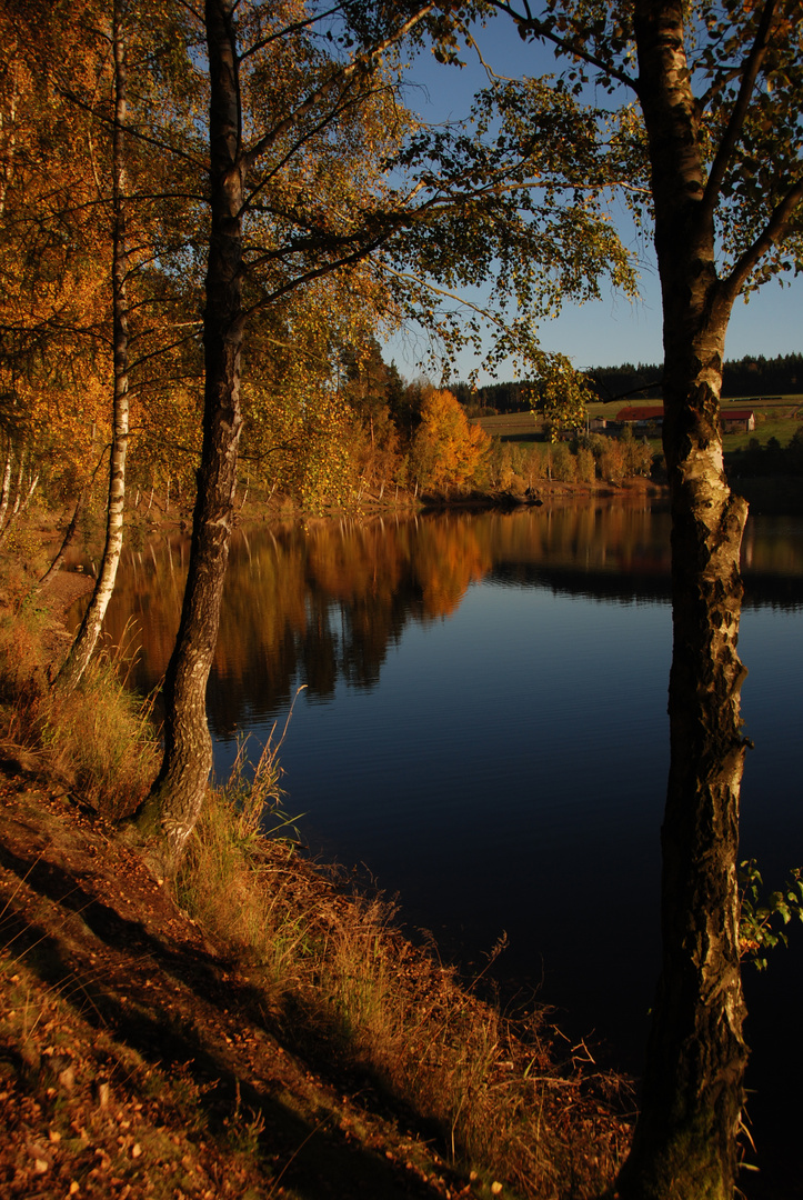 Haider Herbst