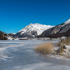 HAIDERSEE