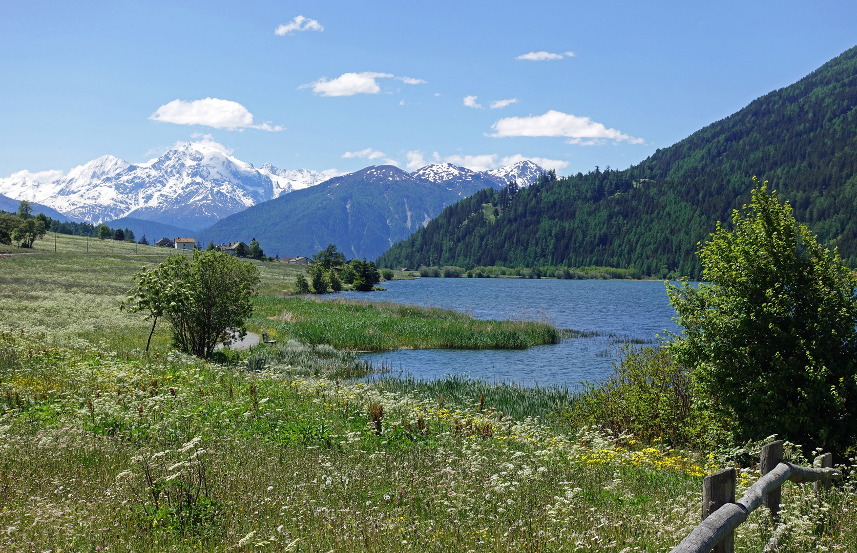 Haidersee_02.06.2020