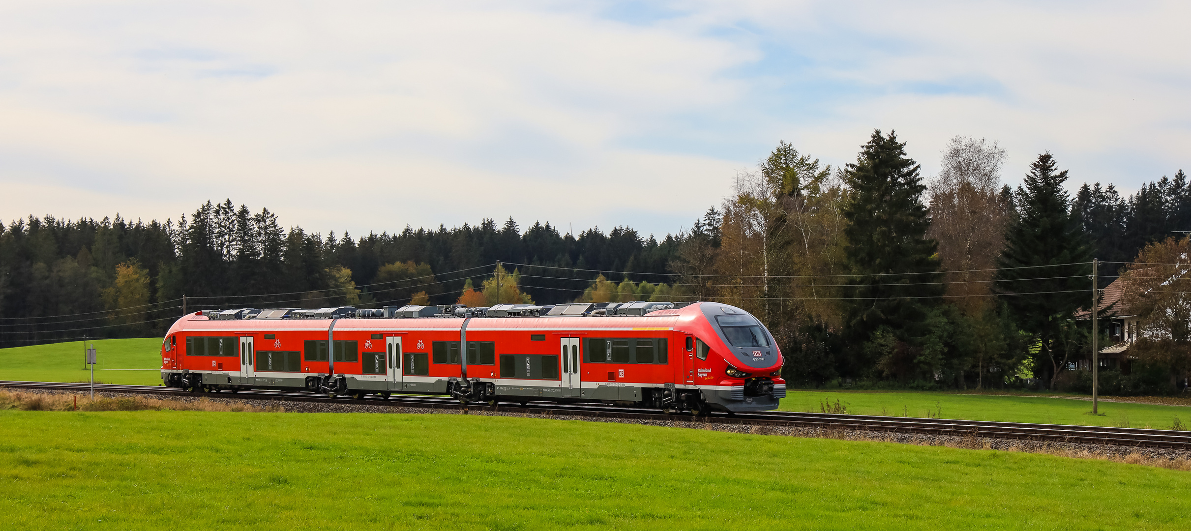 "Haie" erobern das Feld (1 von 3)