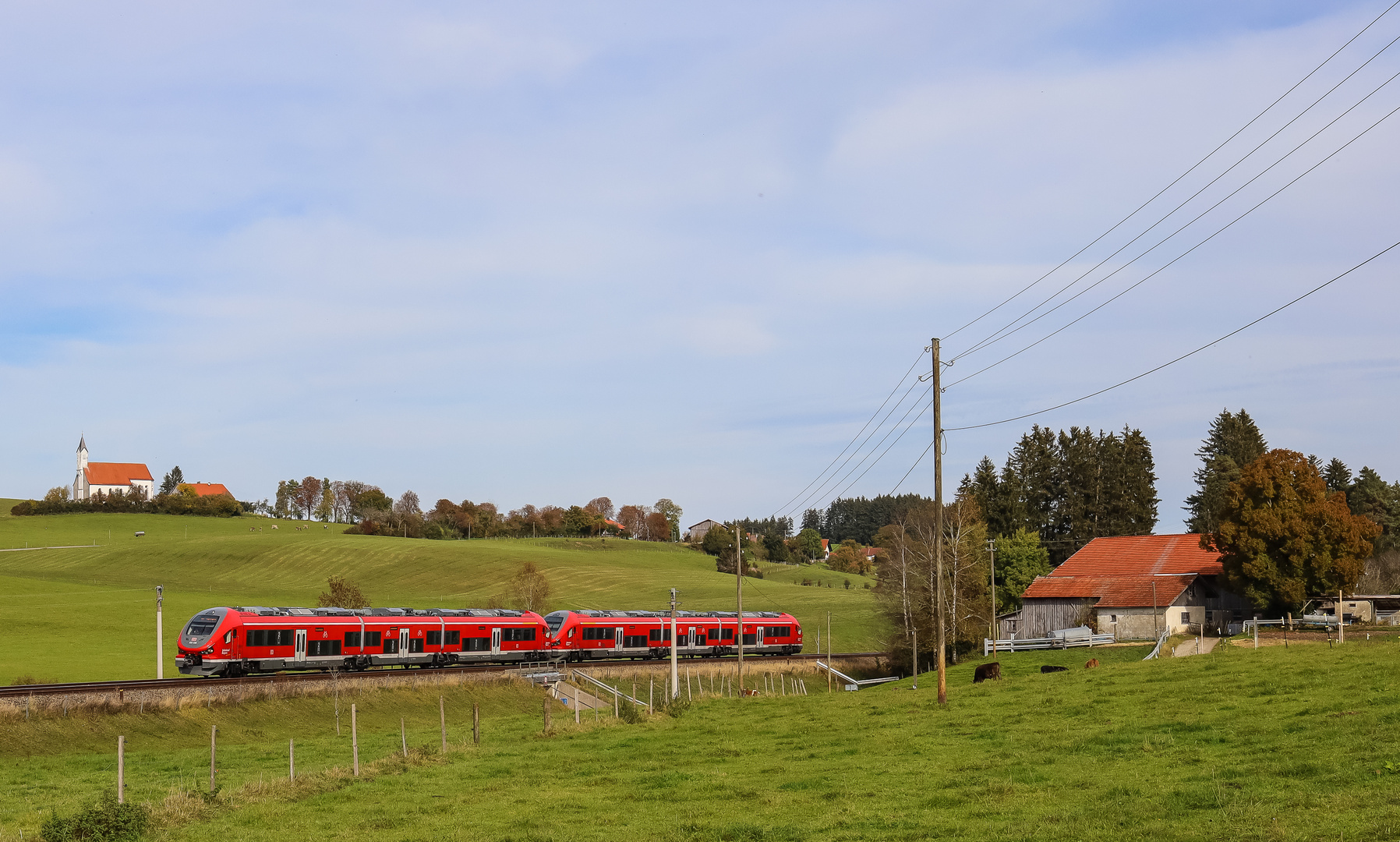 "Haie" erobern das Feld (2 von 3)