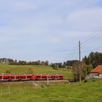 "Haie" erobern das Feld (2 von 3)