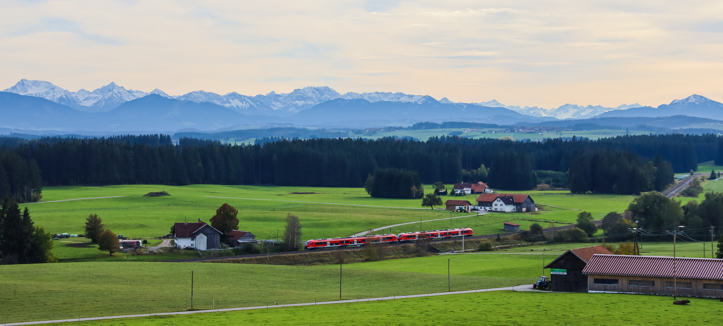 "Haie" erobern das Feld (3 von 3)