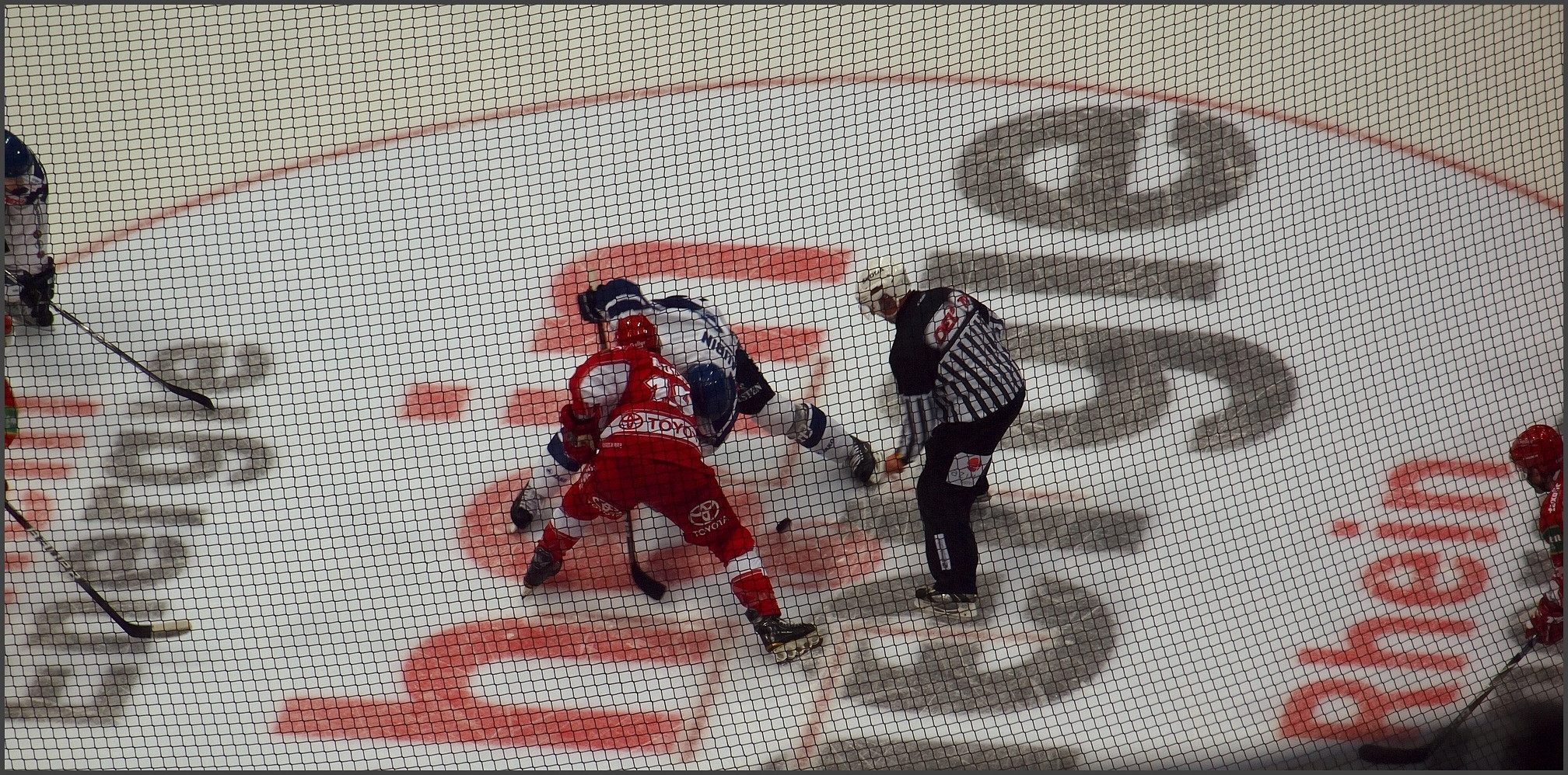 Haie vs Freezers