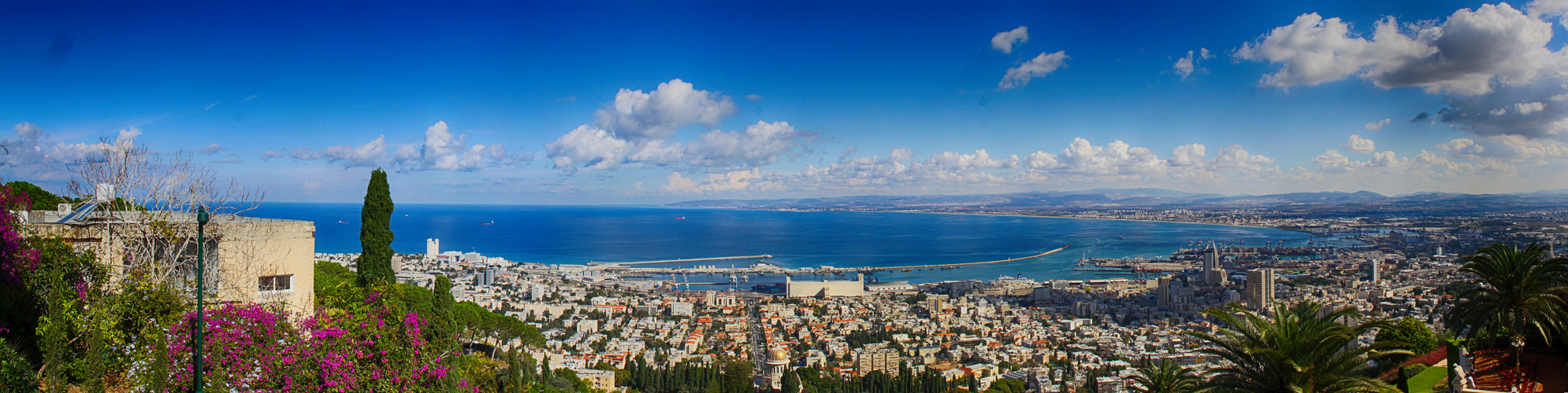 Haifa