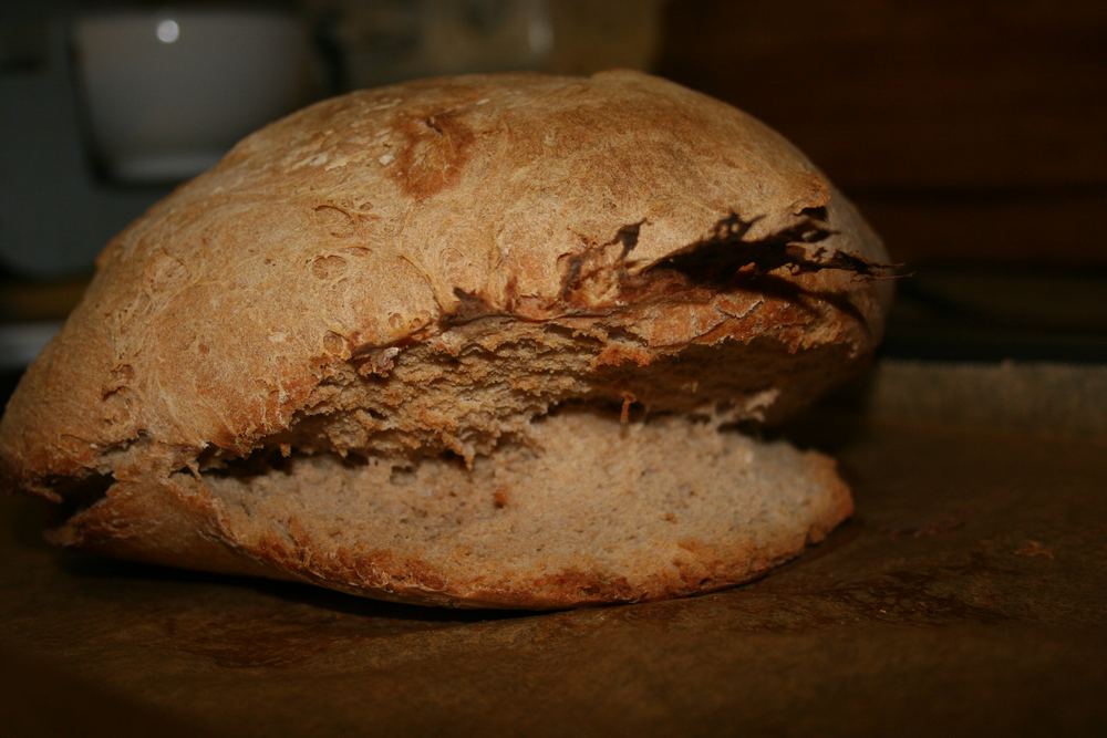 "Haifischbrot"