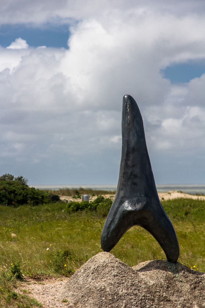 Haifischzahn - Cadzand Bad