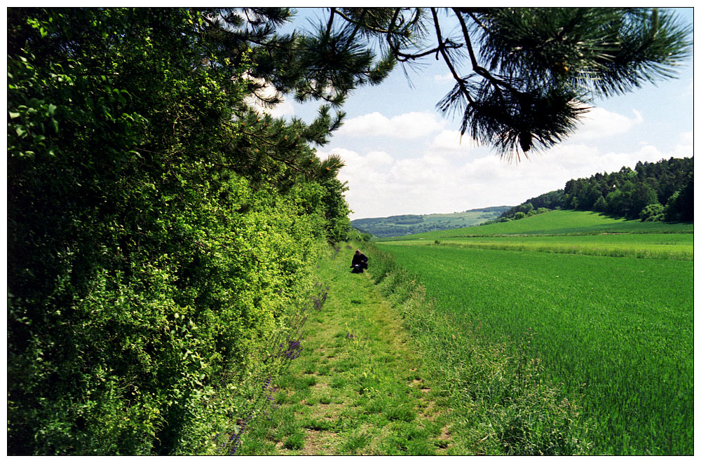 Haigergrund - Bere auf dem grünen Weg