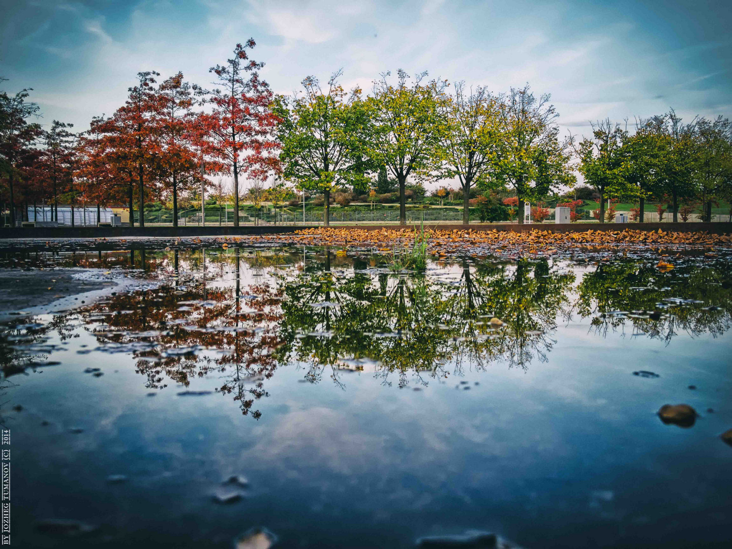 Haiku über Herbst