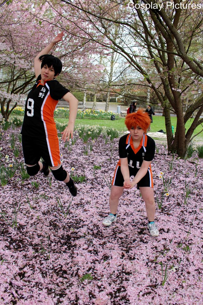 Haikyuu Hanami Berlin 2016