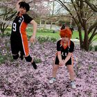 Haikyuu Hanami Berlin 2016