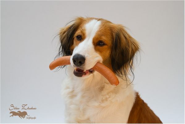 Hailey mit ihrem Würstchen