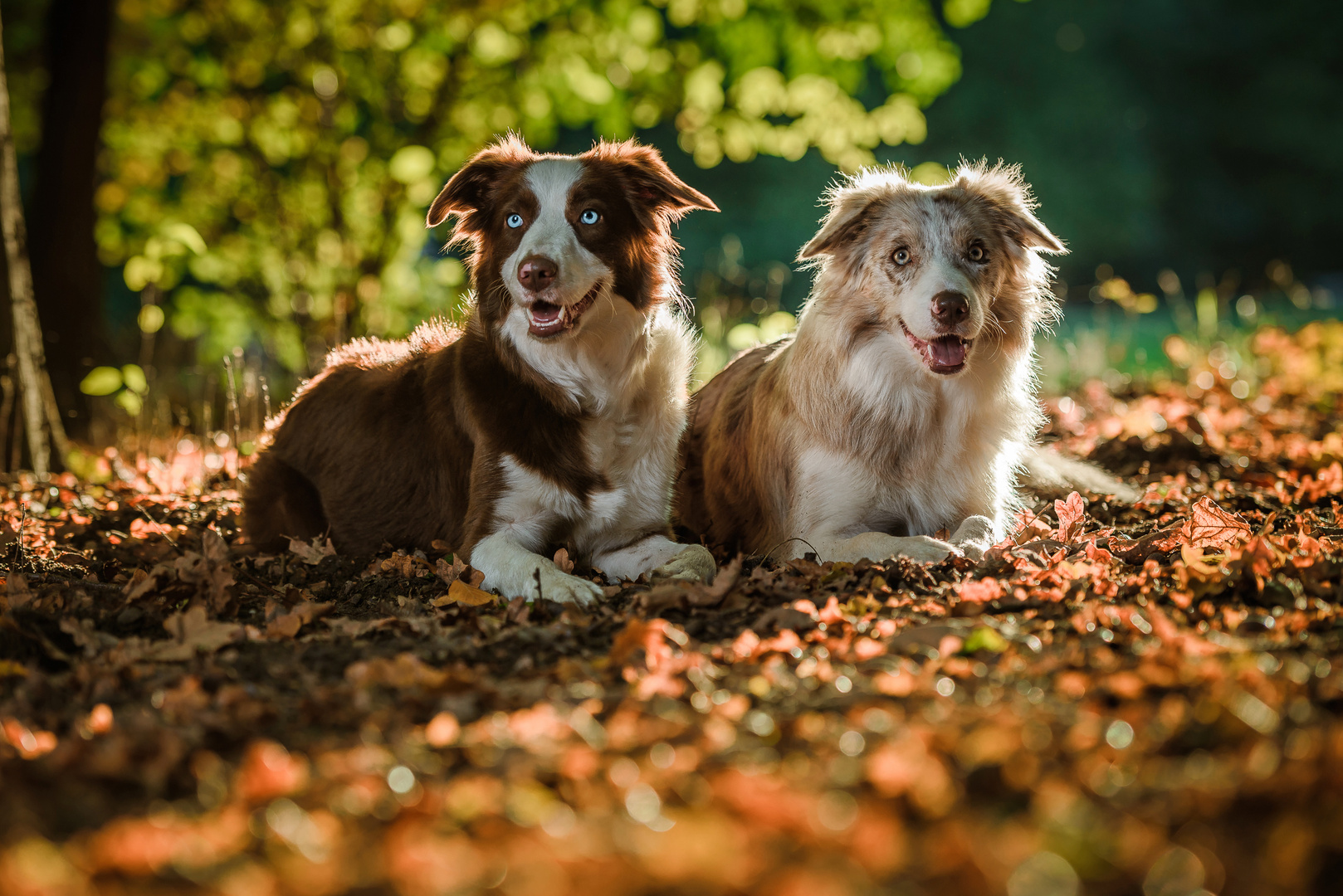 Hailey und Nayla......