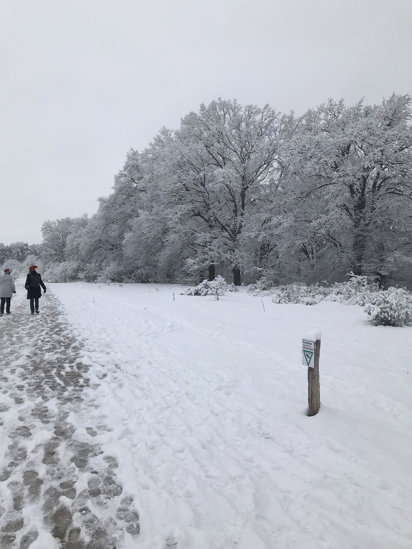 Hainberg - Oberasbach