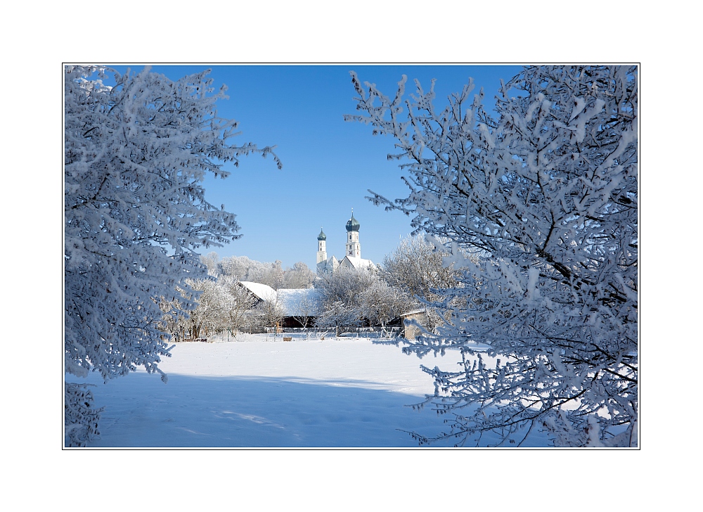 Haindling im Schnee