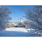 Haindling im Schnee