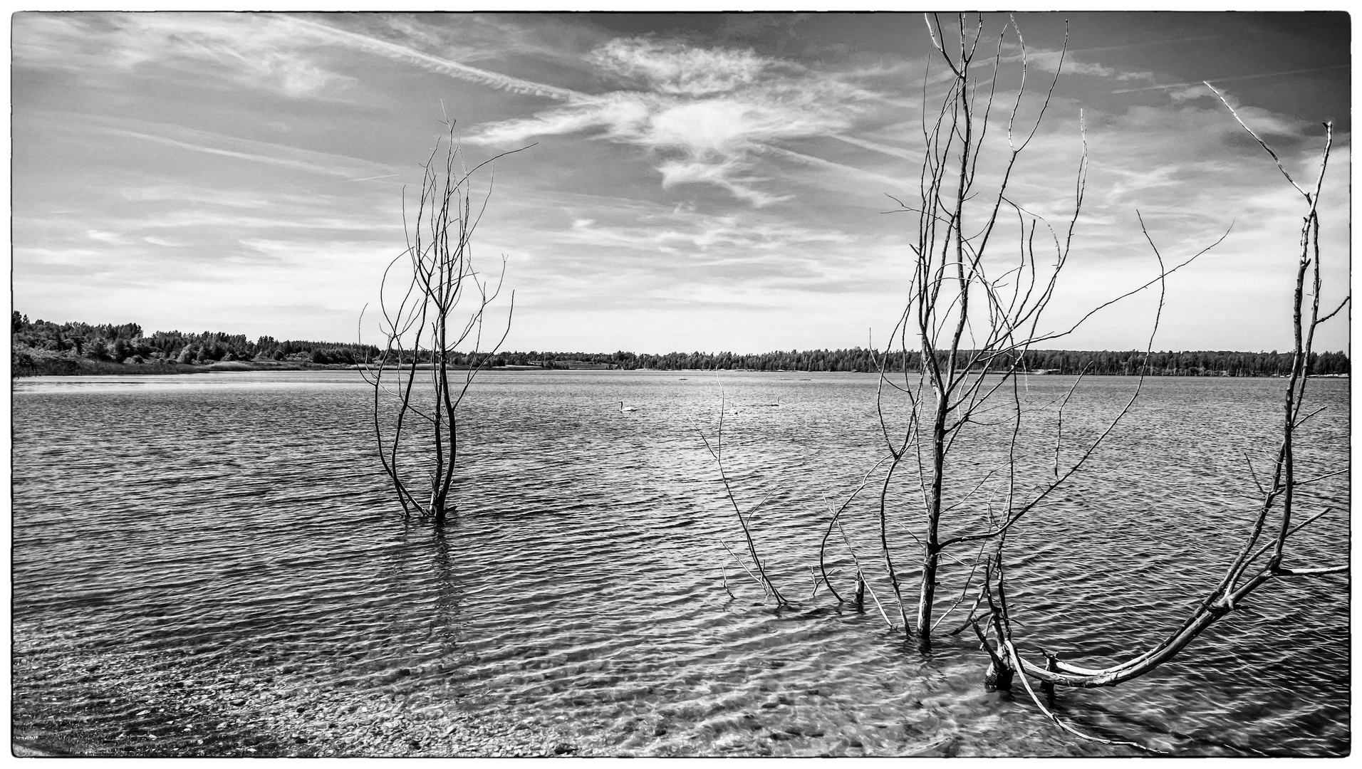 Hainer See bei Leipzig