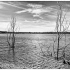 Hainer See bei Leipzig