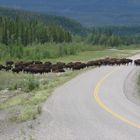 haines highway