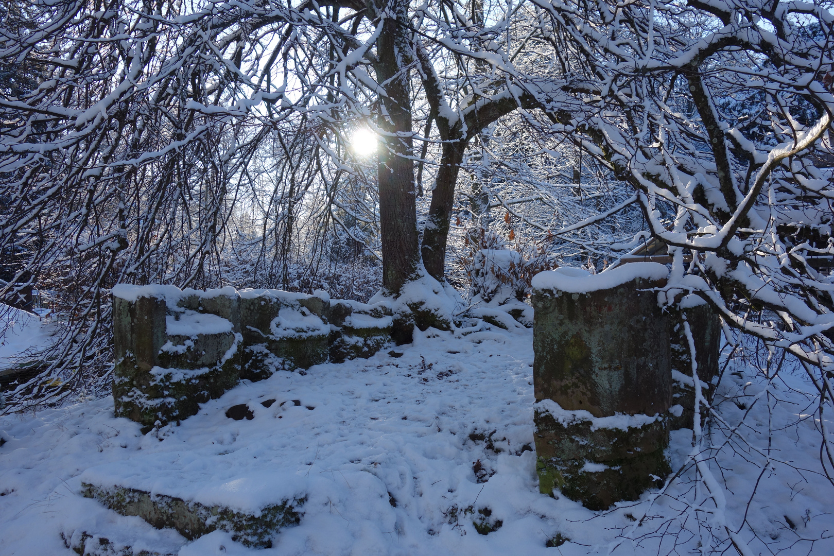 Hainhaus im Winter