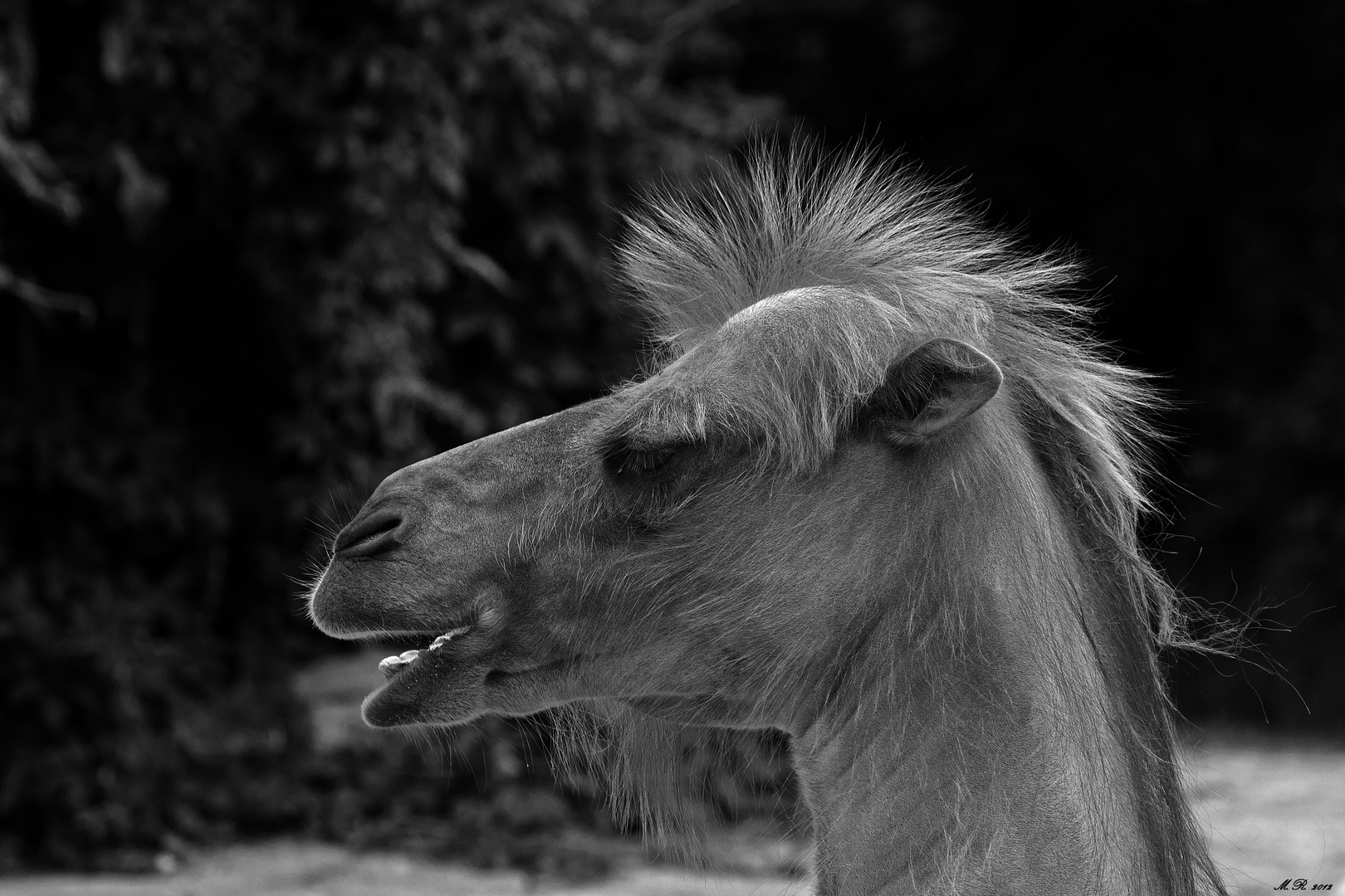 Hair in the Air!