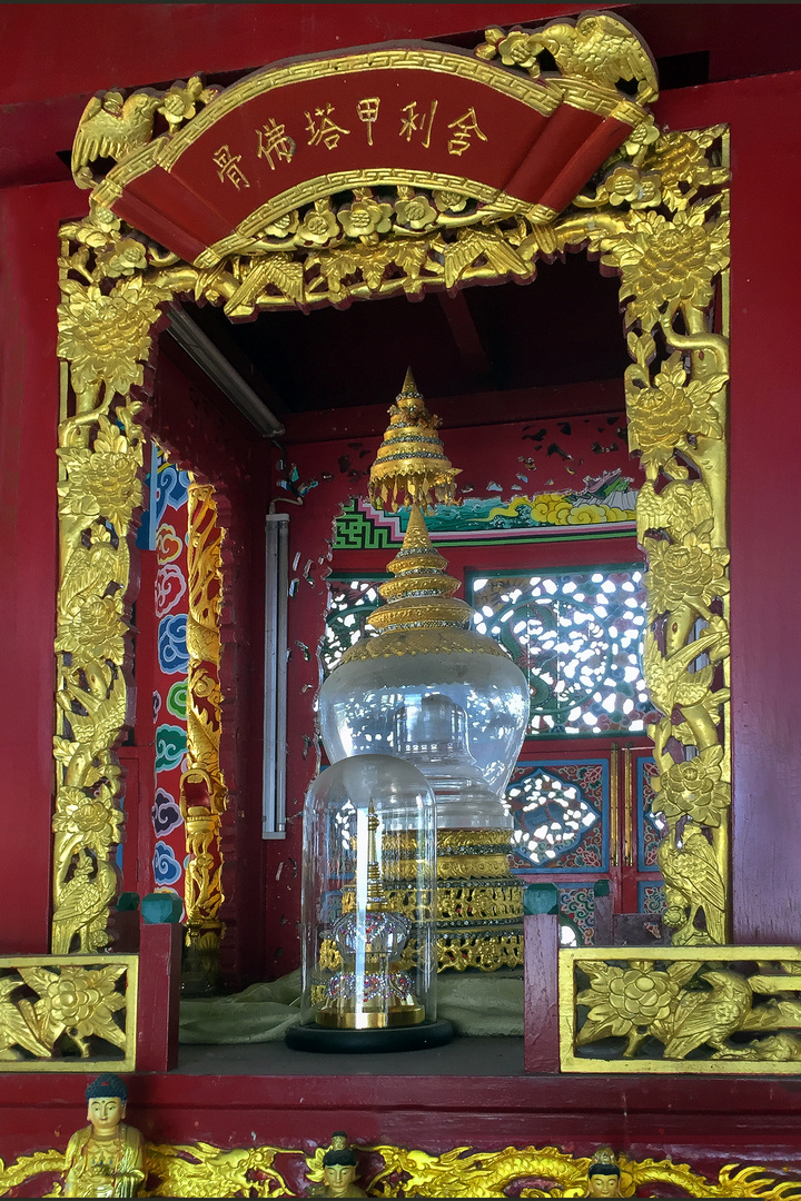 Hair of Buddha in glass display case