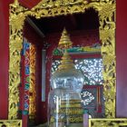 Hair of Buddha in glass display case