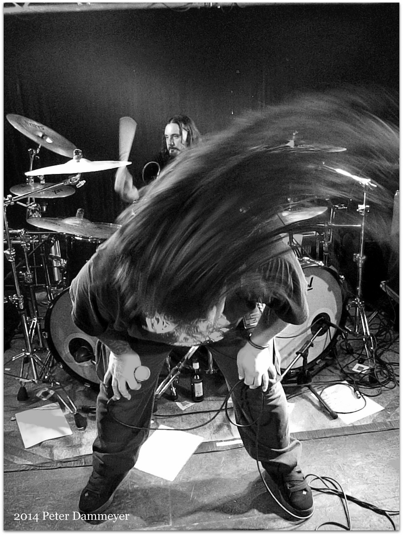 Hairmosh