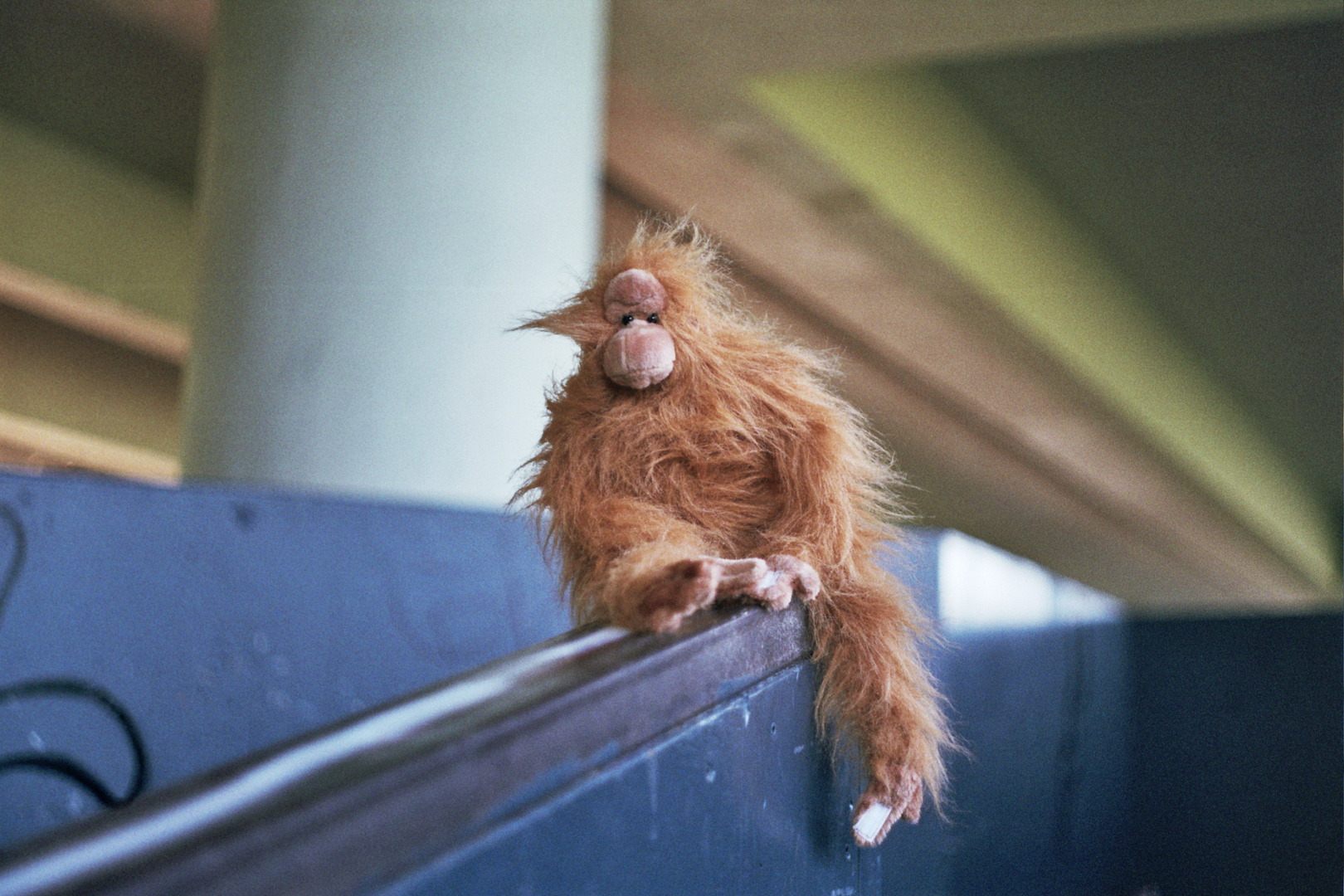 Hairy Harry auf dem Coping