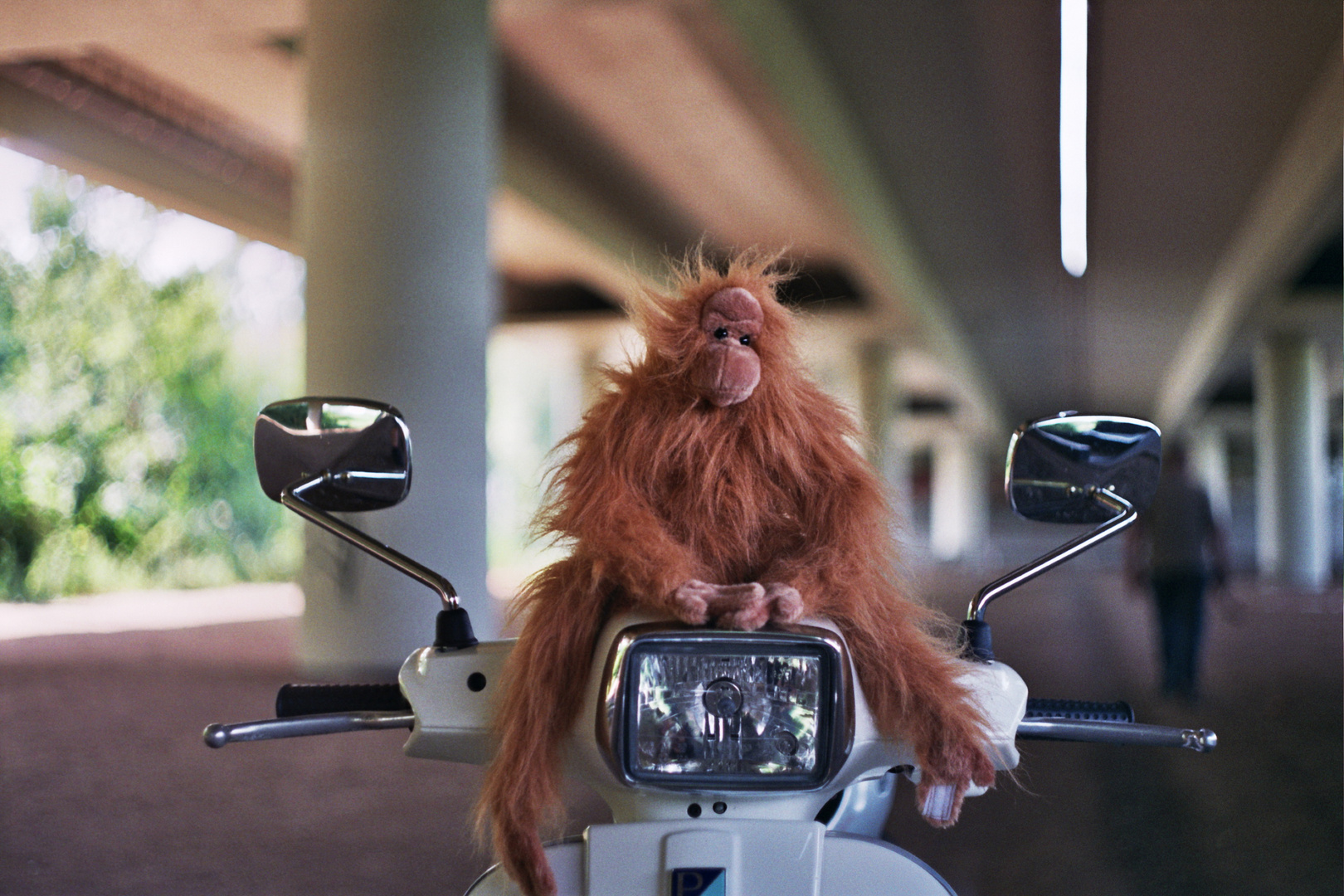 Hairy Harry und seine Vespa