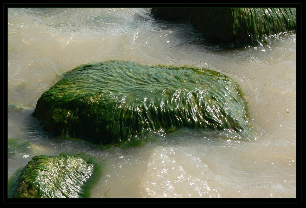 Hairy stones