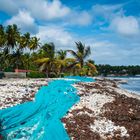 Haiti | Fishing net along the seashore of Jacmel town