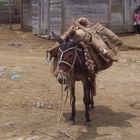 Haitianisches Taxi