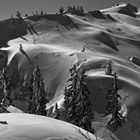 HAjducki kukovi,nord velebit