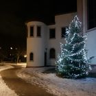 Hajo Weihnachtsbaum im Schnee