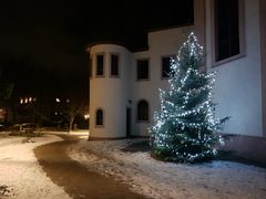 Hajo Weihnachtsbaum im Schnee
