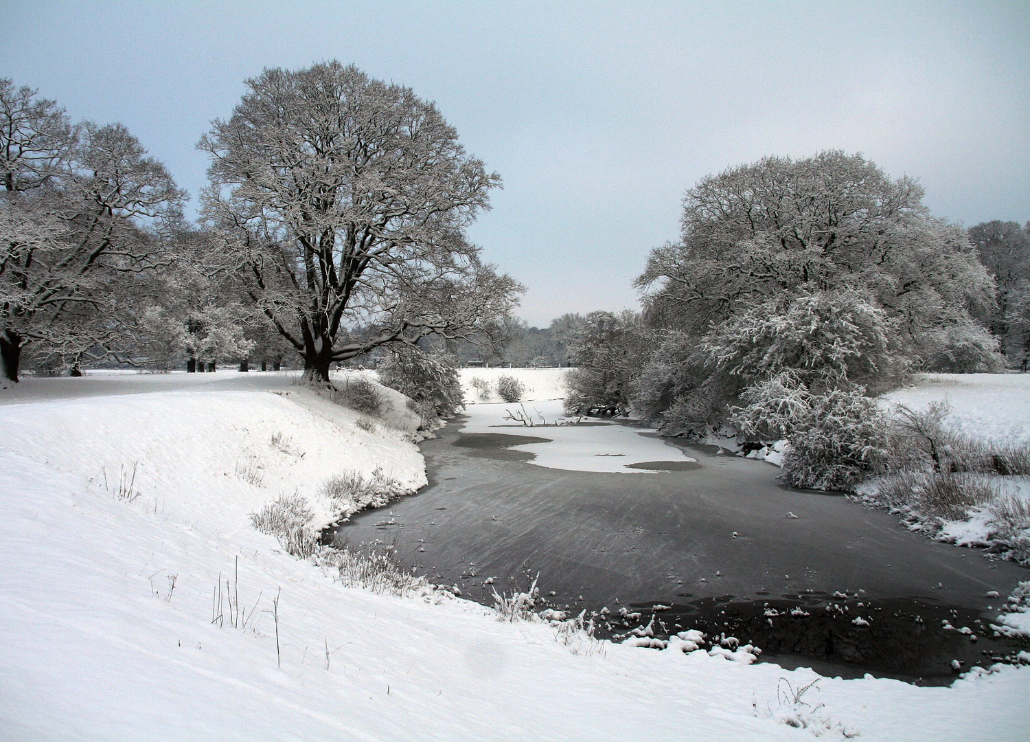 - Hakenfeldarm im Winterkleid -