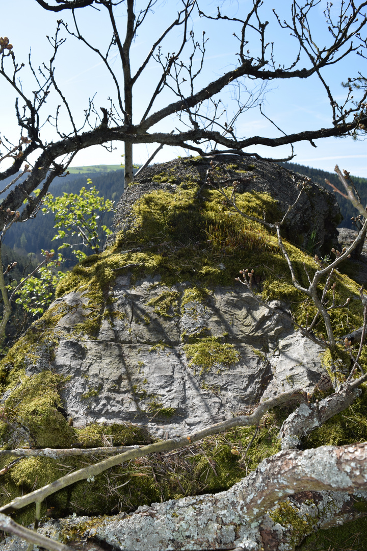 Hakenkreuz am "Fahnenfelsen" oberhalb des Falkenstein