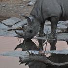 Halali-Wasserstelle am Abend