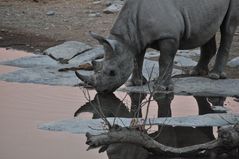 Halali-Wasserstelle am Abend