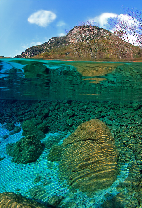 Halb Abgetaucht Foto Bild Unterwasser Uw Susswasser Natur Kreativ Bilder Auf Fotocommunity