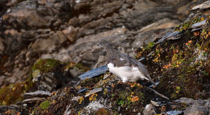 Halb auf Winter eingestellt.....
