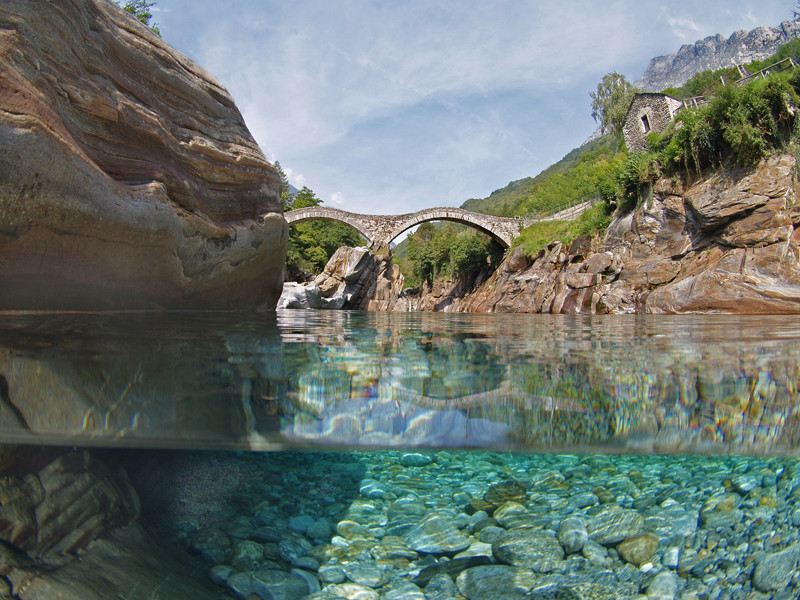 Halb Halb Aufnahme Foto Bild Unterwasser Uw Susswasser Natur Kreativ Bilder Auf Fotocommunity