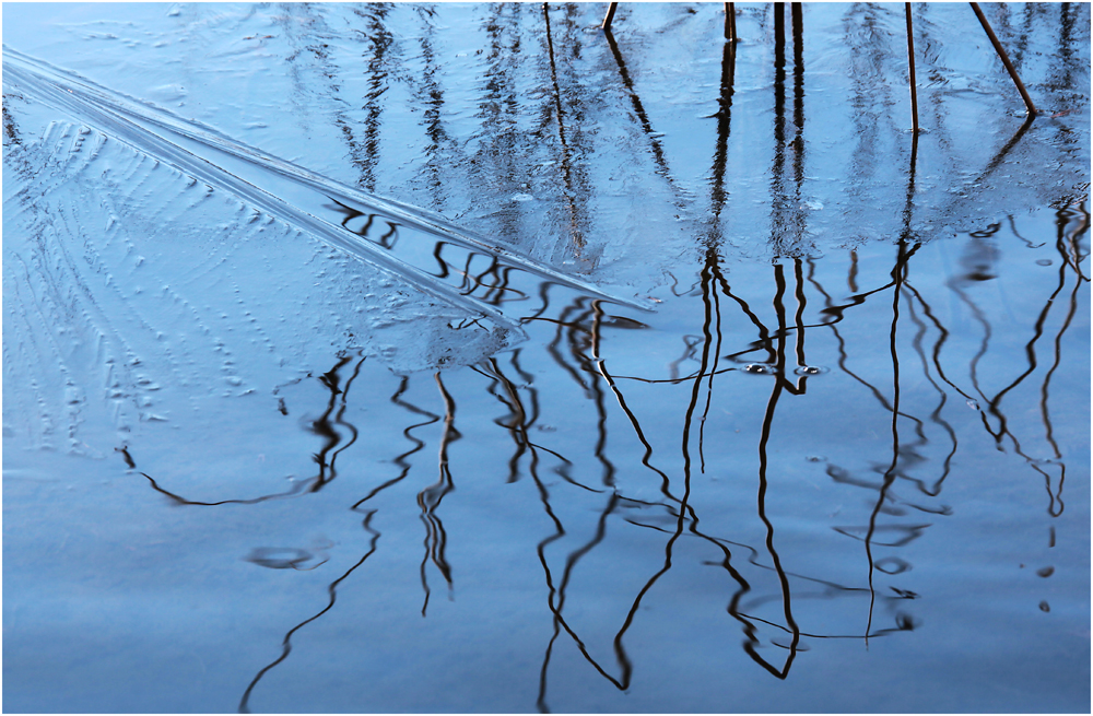 halbhalb Foto & Bild jahreszeiten, herbst, natur Bilder auf