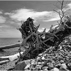 Halb Stein - halb Meer