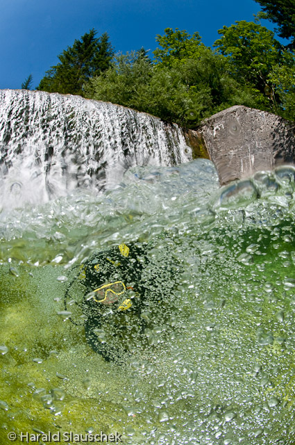 Halb-und-Halb unterm Wasserfall 01