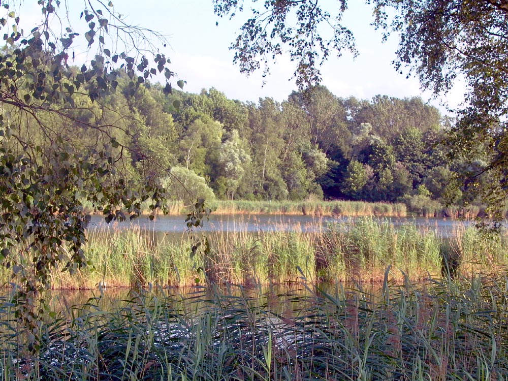 Halbacht im Juni