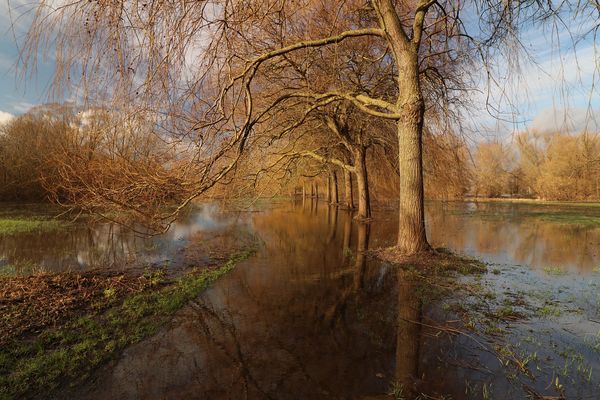 Halballee mit Spiegelung
